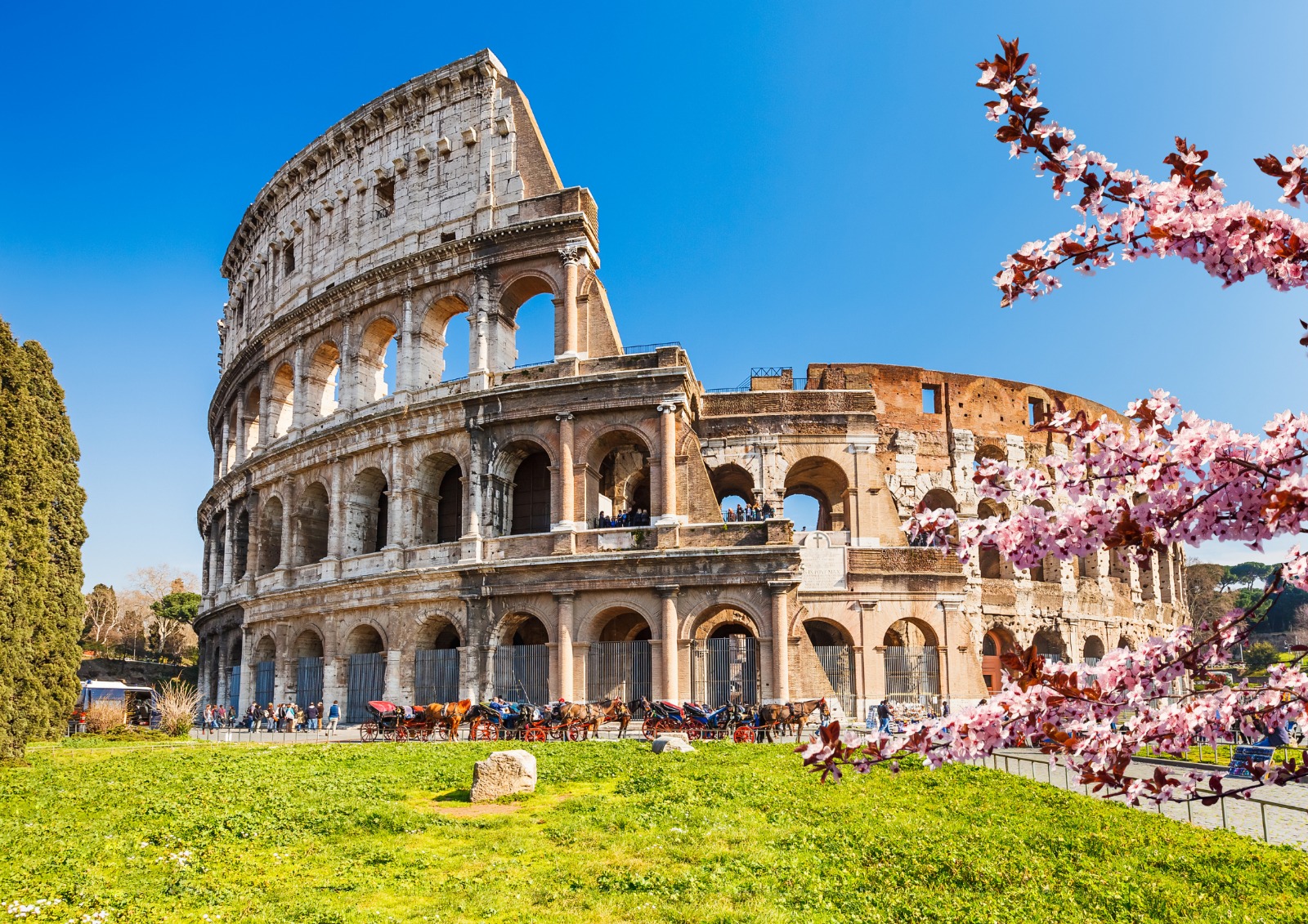 The Colosseum in Rome under a clear blue sky, with ancient stone arches, green grass in the foreground, and pink cherry blossoms framing the scene.